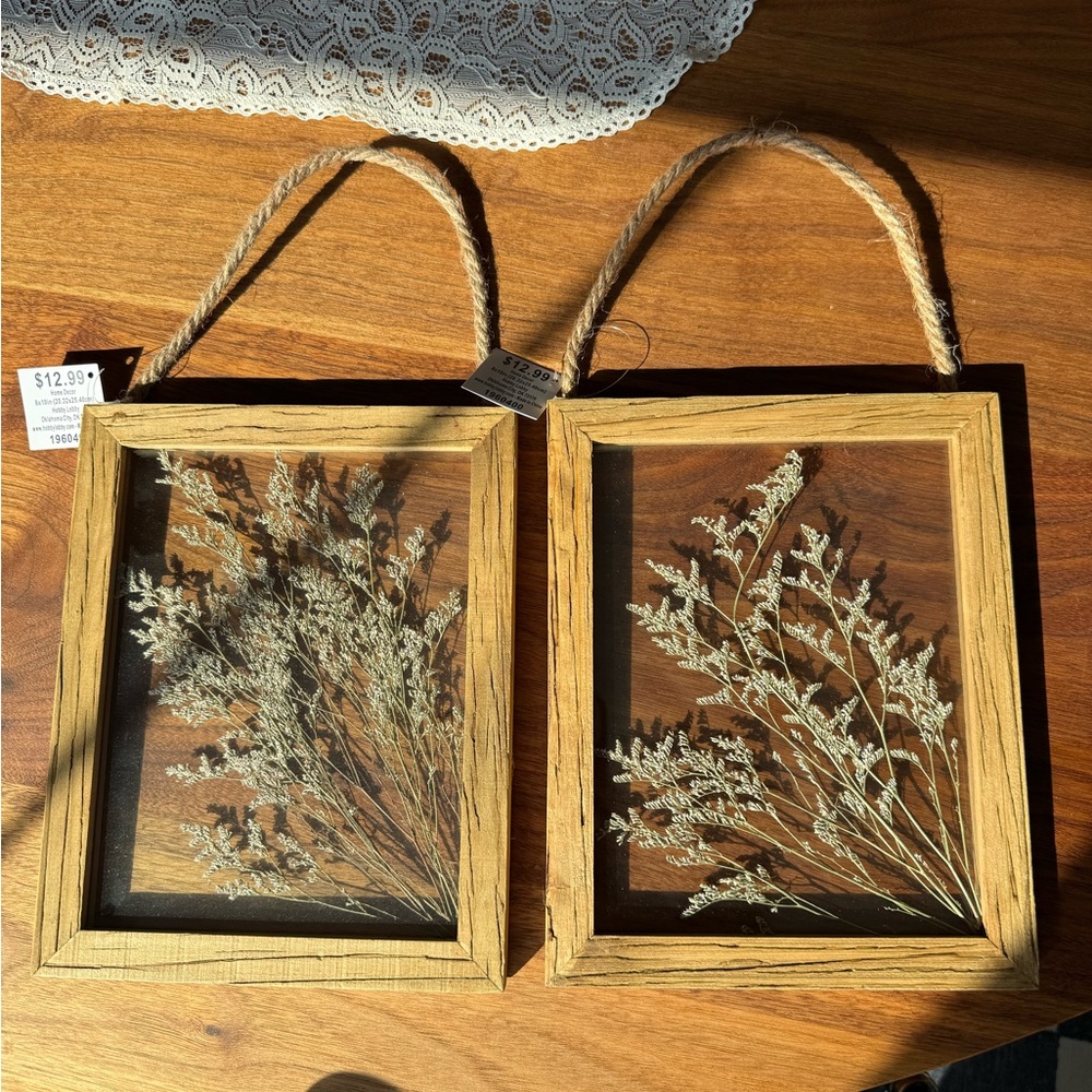 Hobby Lobby Rustic Tan Hanging Frames with Dried Botanicals - Set of 2